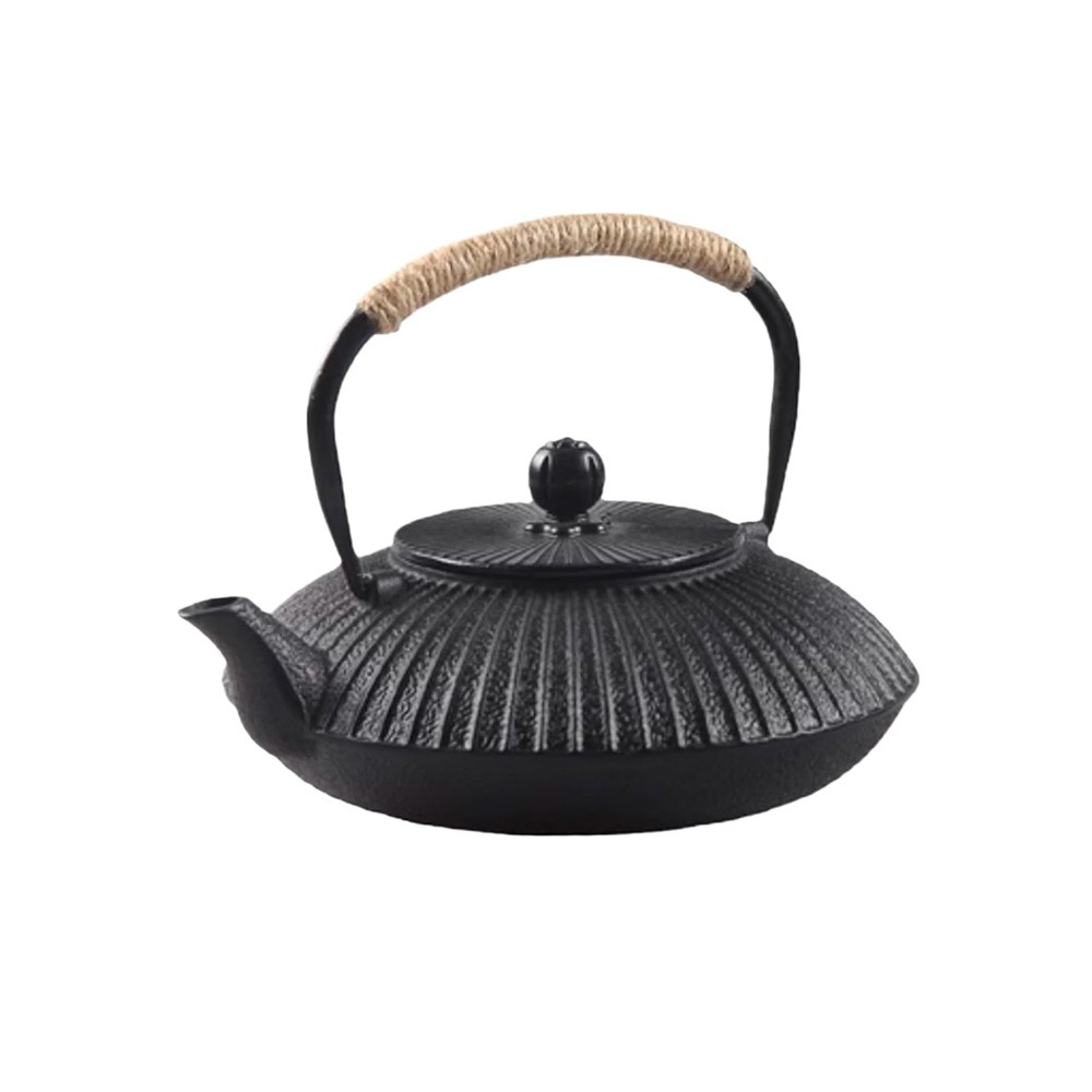 Cast Iron Teapot - Tetera de Hierro Fundido de 800