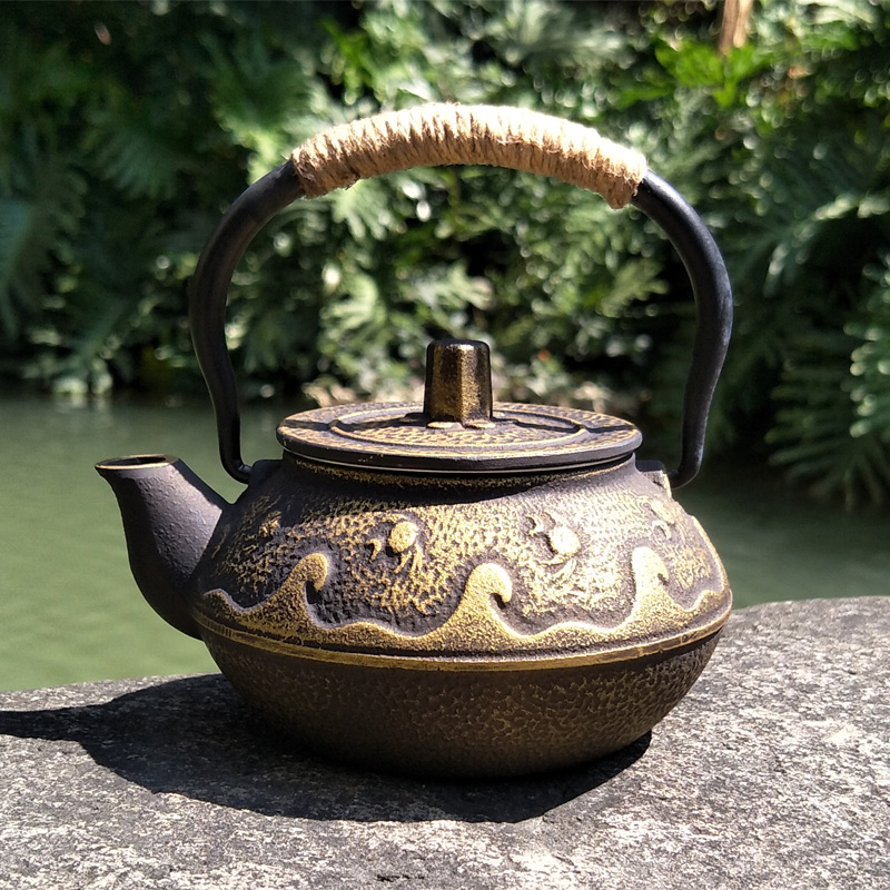 Tetera japonesa de hierro fund - Cast Iron Teapot reseña y precio